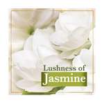 Lux Velvet Touch Jasmine & Vitamin E Soap Bar 